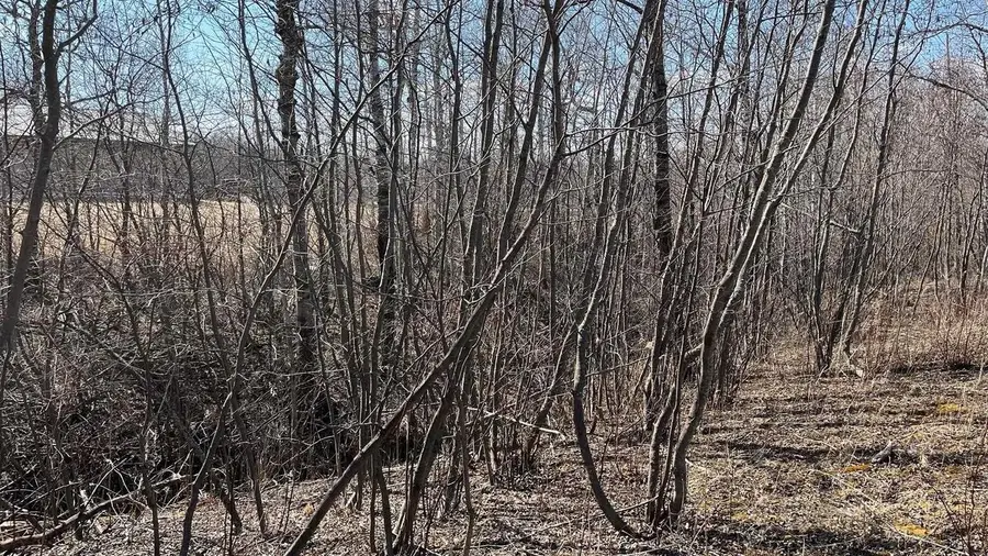 1209 39th Ave E, Superior, WI 54880 - Image #3