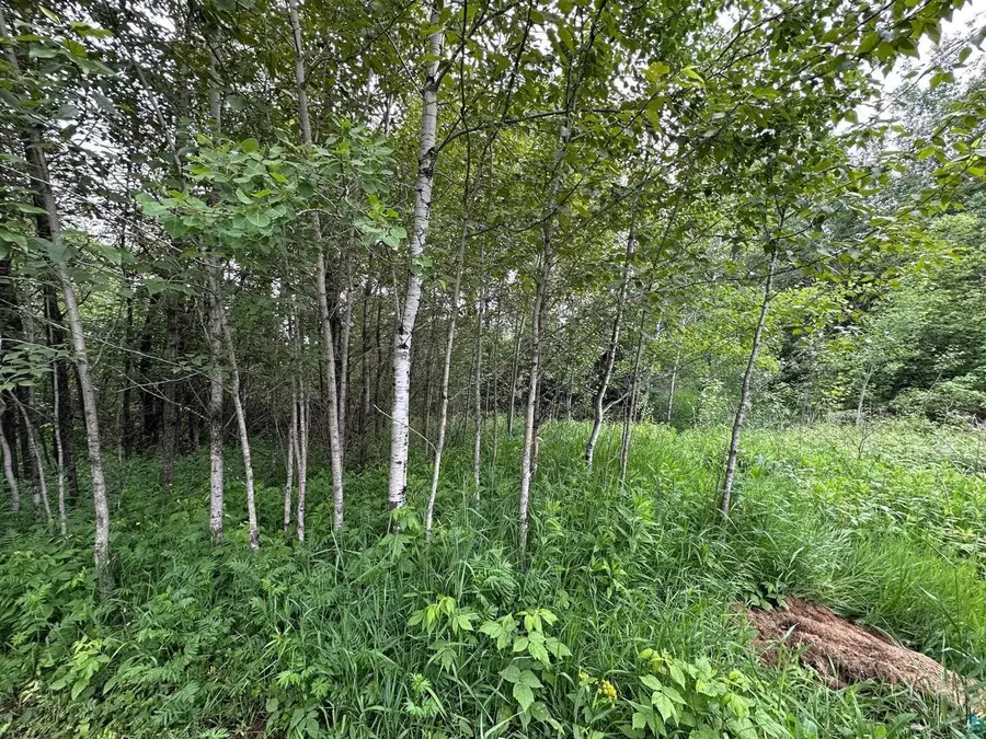 3938 E 5th St, Superior, WI 54880 - Image #2