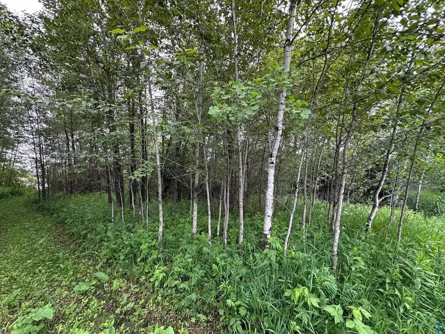 3938 E 5th St, Superior, WI 54880 - Image #3