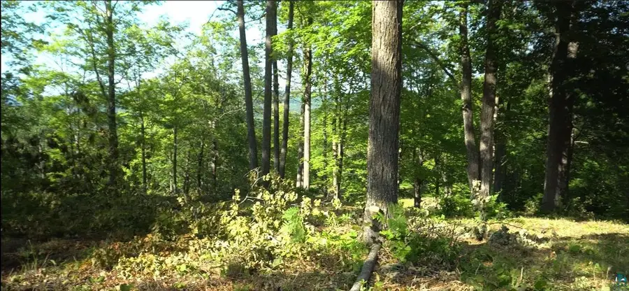 83xxx Ashwabay Heights Rd, Bayfield, WI 54814 - #3