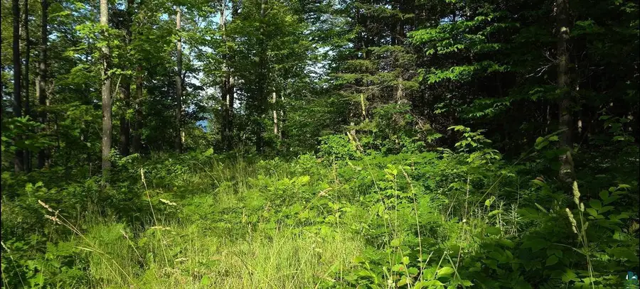 83xxx Ashwabay Heights Rd, Bayfield, WI 54814 - #2