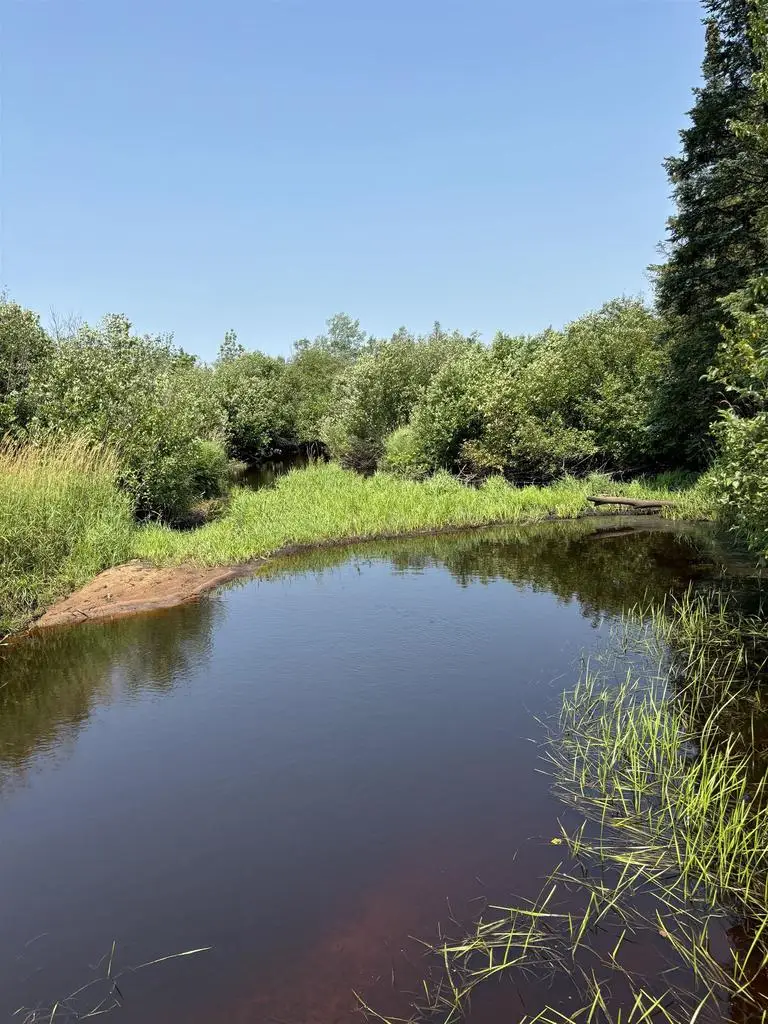 68 acres County Hwy E, Hawthorne, WI 54842 - Image #1