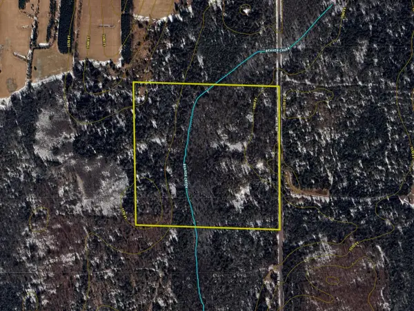 40 Acres on Witte Rd, Butternut, WI 54514