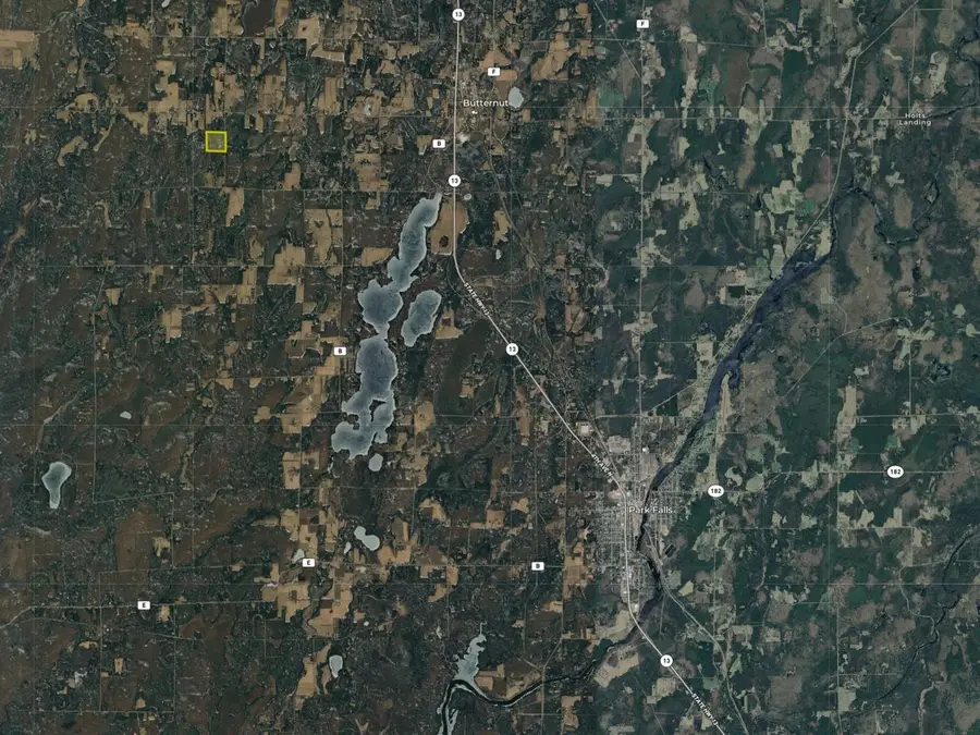 40 Acres on Witte Rd, Butternut, WI 54514 - Image #3
