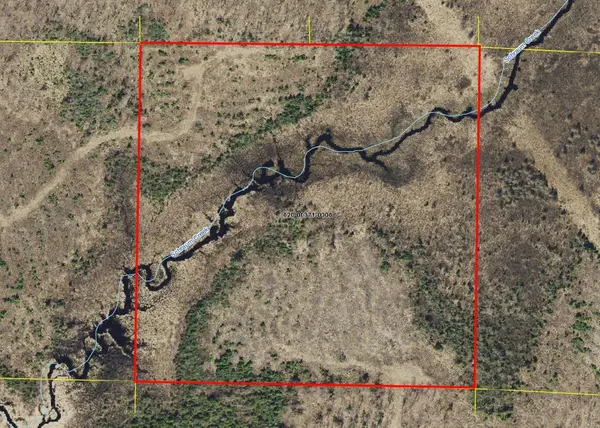 40 Acres Near Griffith Rd, Butternut, WI 54514