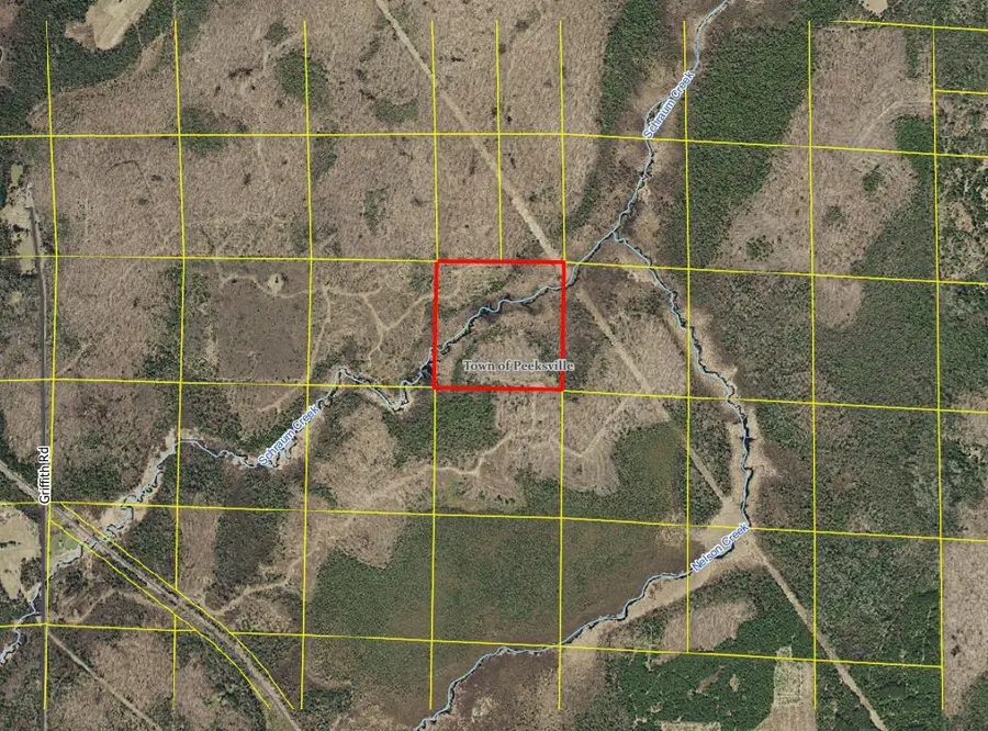 40 Acres Near Griffith Rd, Butternut, WI 54514 - Image #2