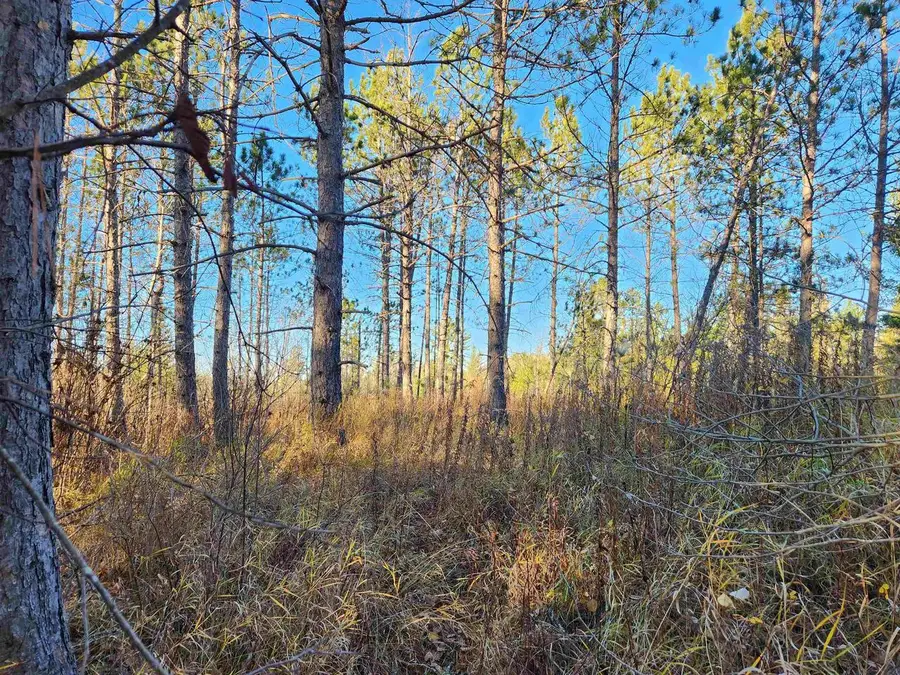 27XXX Dayton Rd, Washburn, WI 54891 - Image #2