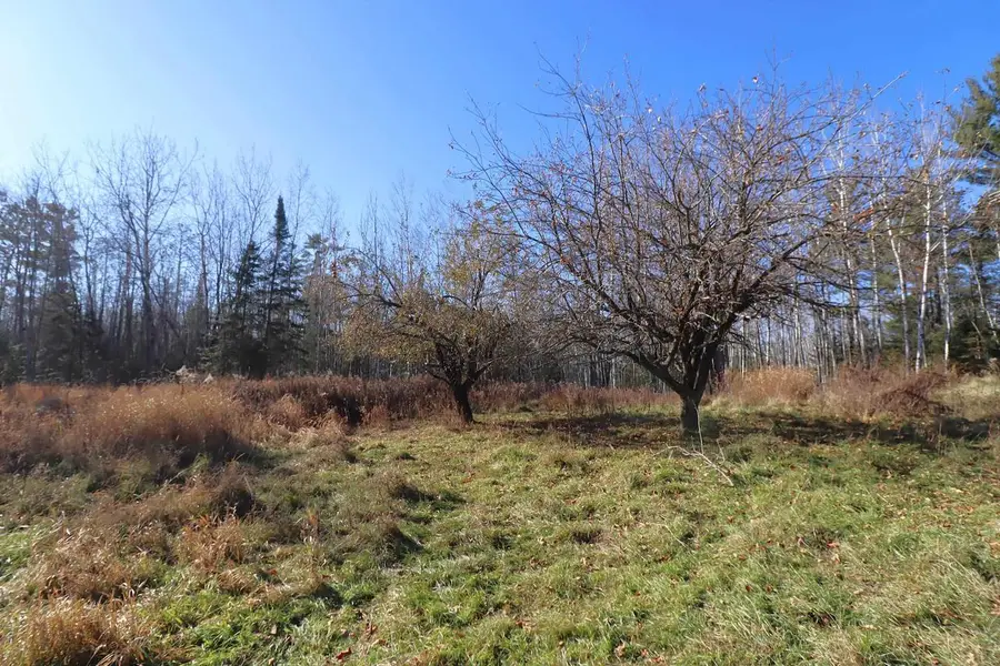 21575 County Hwy E, Mason, WI 54856 - Image #3