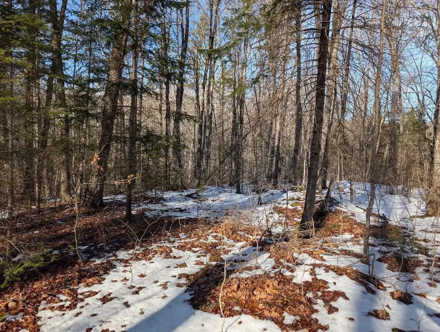 Red House Rd, Mellen, WI 54546 - Image #2