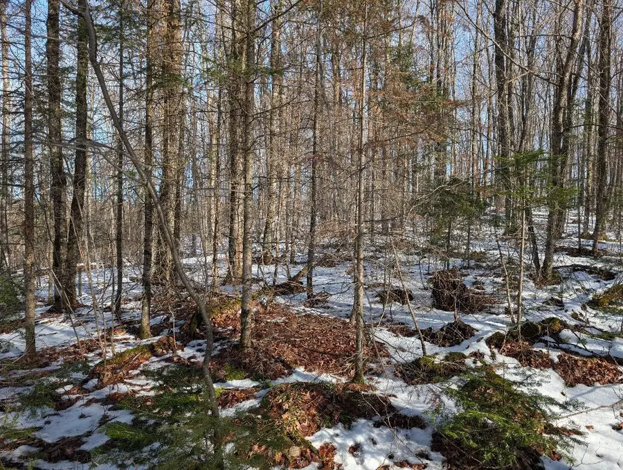 Red House Rd, Mellen, WI 54546 - Image #3