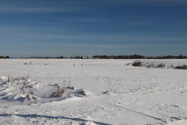 64XXX Pezderic Rd, Mason, WI 54856