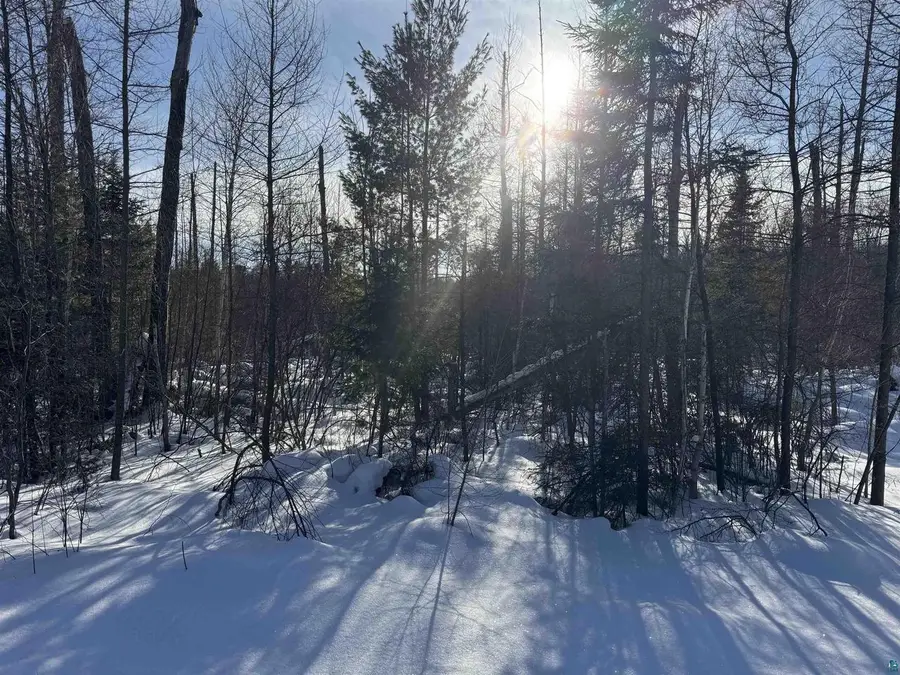 Lot 2 Eaton Road, Hayward, WI 54843 - #3