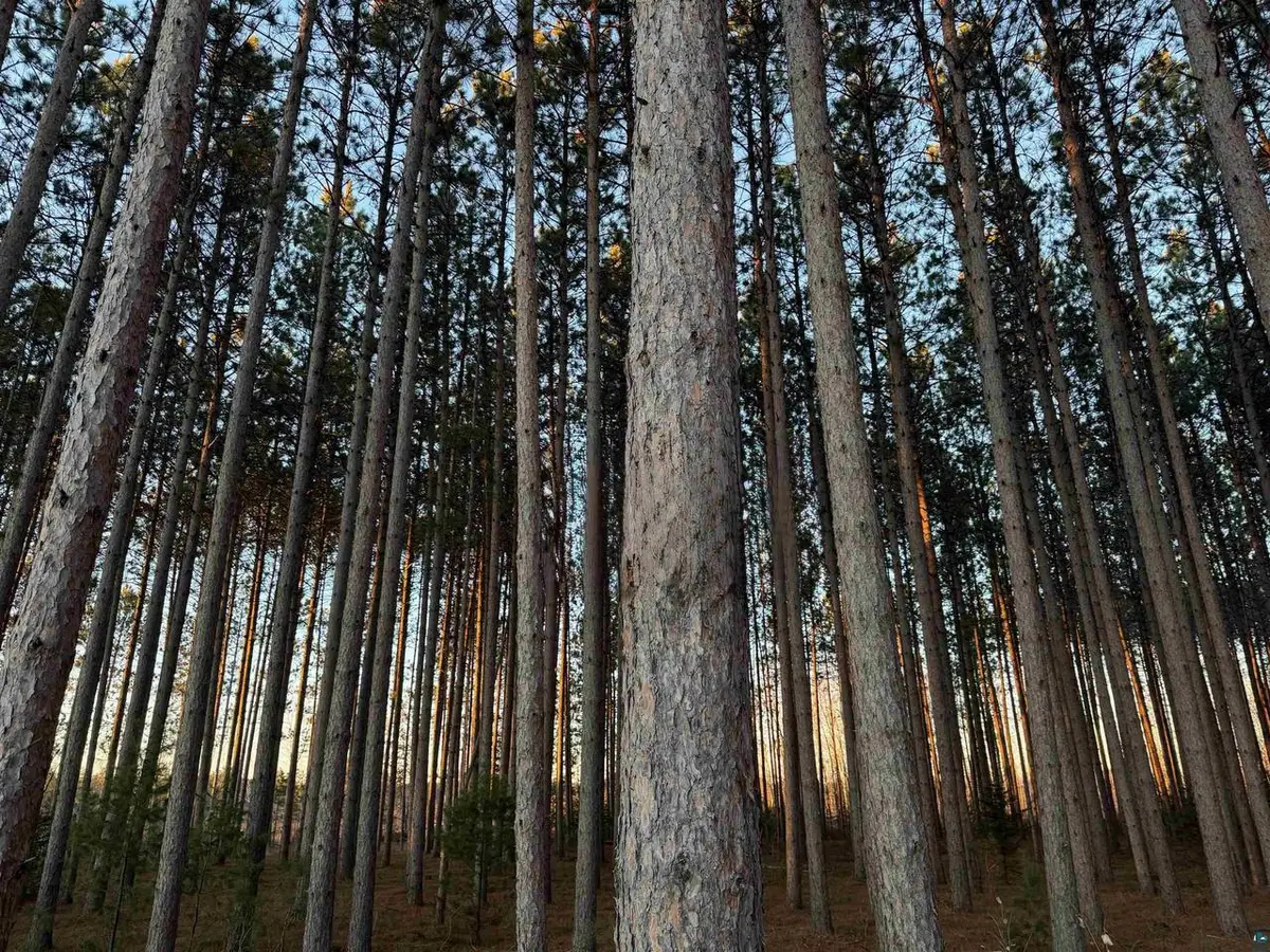 Lot 2 CSM 6341 Jenny Ln, Hayward, WI 54843 - #1