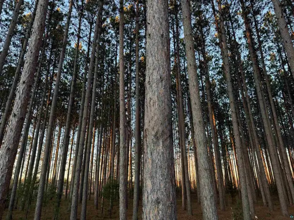 Lot 2 CSM 6341 Jenny Lane, Hayward, WI 54843