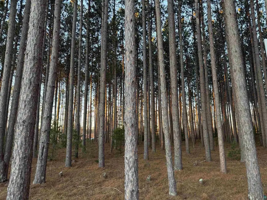 Lot 2 CSM 6341 Jenny Ln, Hayward, WI 54843 - #2