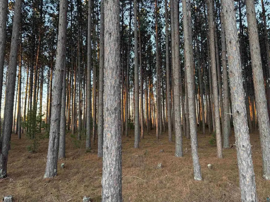 Lot 2 CSM 6341 Jenny Ln, Hayward, WI 54843 - #3