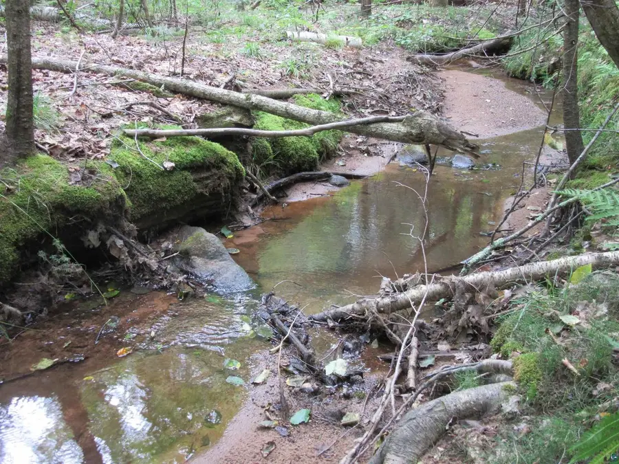 36050 County Hwy J, Bayfield, WI 54814 - #2