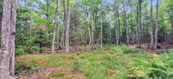 657 Spruce Ln, La Pointe, WI 54850