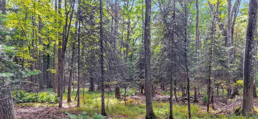 657 Spruce Ln, La Pointe, WI 54850 - #2