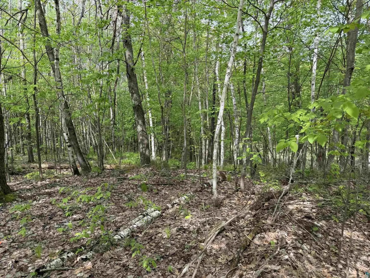 Lot 4 Peterson Road, Wascott, WI 54859 - #1
