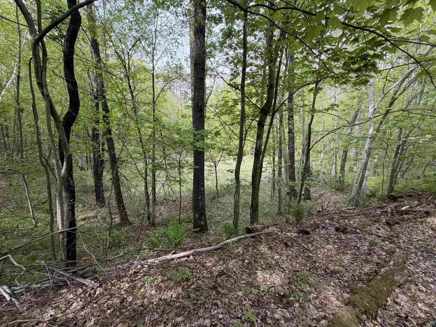 Lot 4 Peterson Road, Wascott, WI 54859 - #3