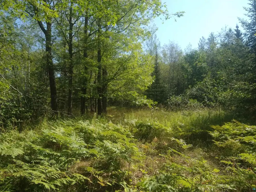 85XXX Fireplace Rd, Port Wing, WI 54865 - #2