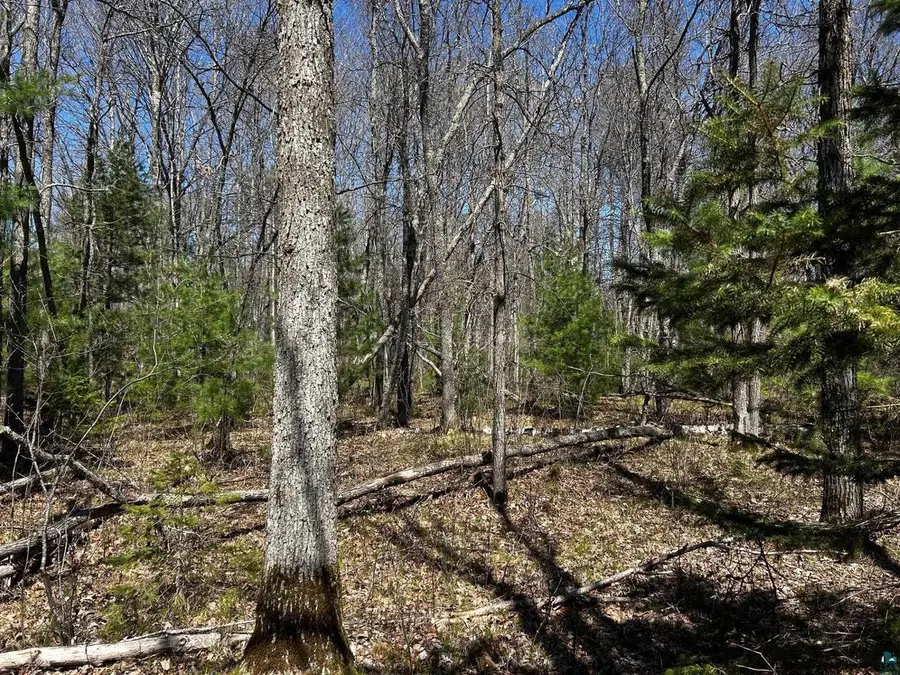 Lot 6 Hwy 70, Spooner, WI 54801 - #2