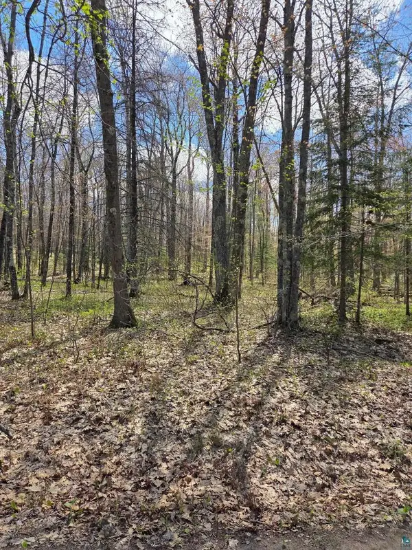 17--- Short Cut Rd, Herbster, WI 54844