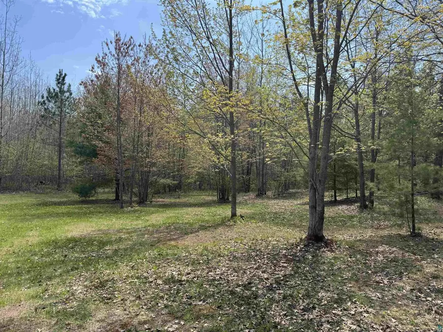 8315 Half Moon Lake Dr, Iron River, WI 54847 - #2