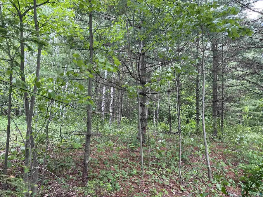 xxx Rice Ave, Bayfield, WI 54814 - #3