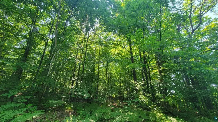 E Half Mile Rd, Herbster, WI 54844 - #3