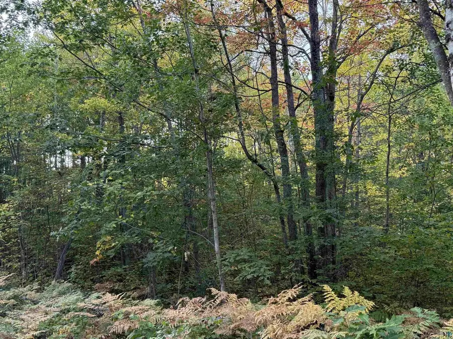 000 Highway 2, Iron River, WI 54847 - #2