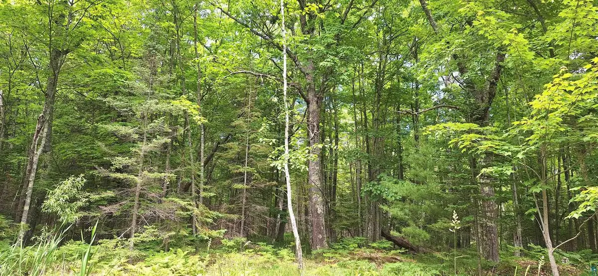 xxx South Shore Rd, La Pointe, WI 54850 - #1