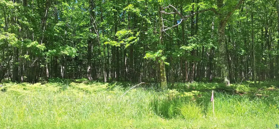 xxx South Shore Rd, La Pointe, WI 54850 - #3
