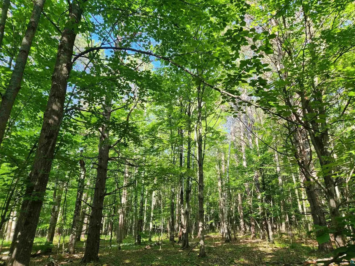 30XXX Sky Rd, Washburn, WI 54891 - #1