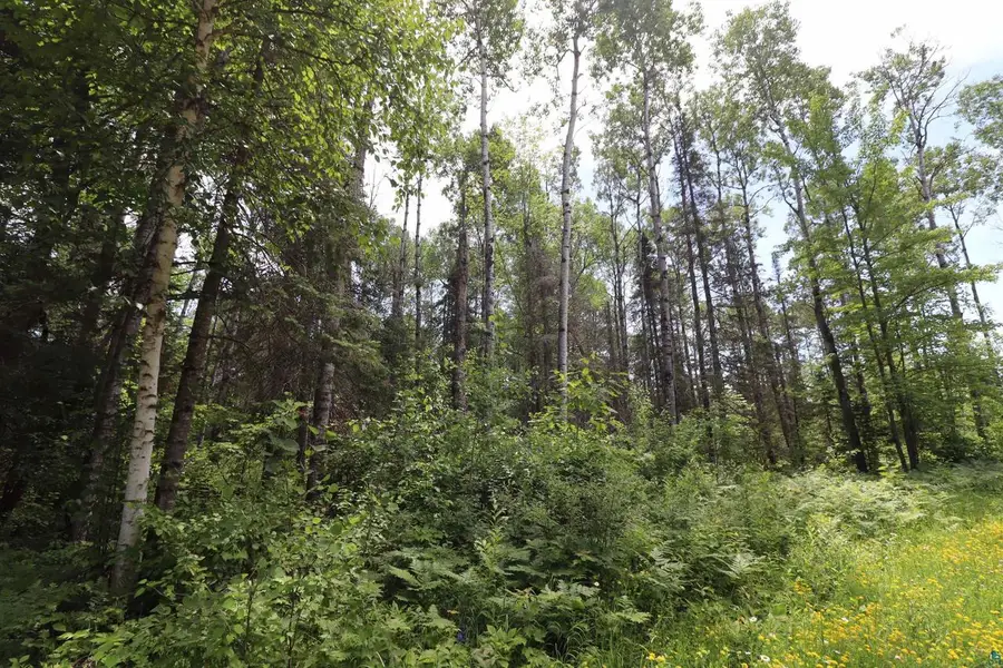 Lot 1 Campbell Rd, Herbster, WI 54844 - #2