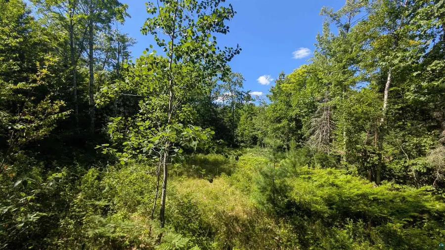 32XXX Lake Caroline Rd, Mellen, WI 54546 - #2