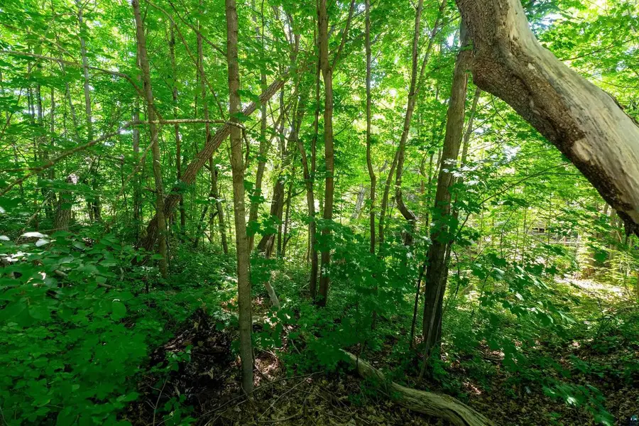 0.33 Acres on S 4th St, Bayfield, WI 54814 - #2