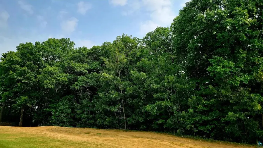 84xxx Raspberry Ln, Bayfield, WI 54814 - #3