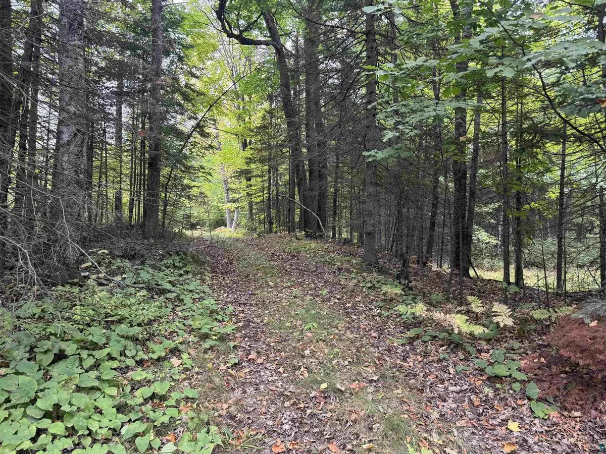 xxx S Dump Rd, Maple, WI 54854 - #1