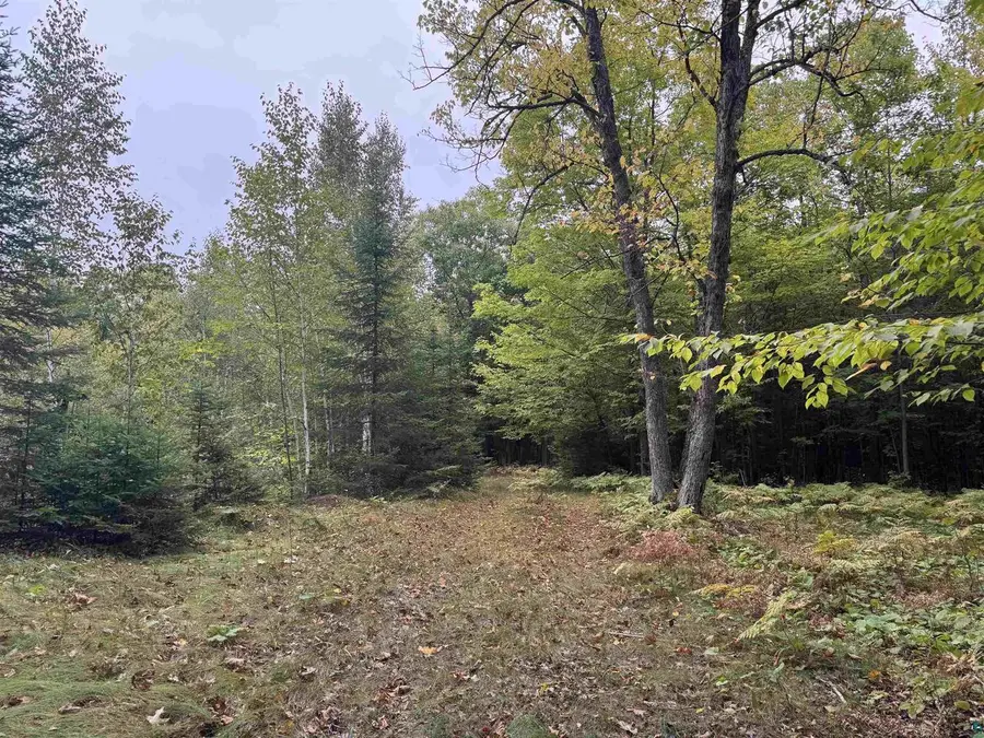 xxx S Dump Rd, Maple, WI 54854 - #2