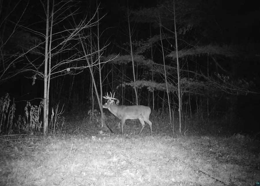 91XXX-A W Old County Hwy K, Bayfield, WI 54814 - #2
