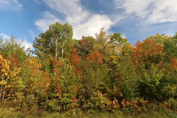 91XXX-N W Old County Hwy K, Bayfield, WI 54814