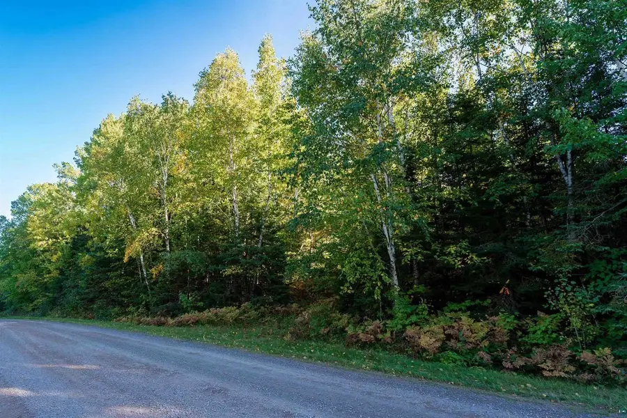 10 Acres on E White Birch Rd, Port Wing, WI 54865 - #2