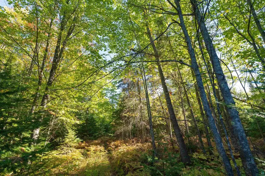 10 Acres on E White Birch Rd, Port Wing, WI 54865 - #3