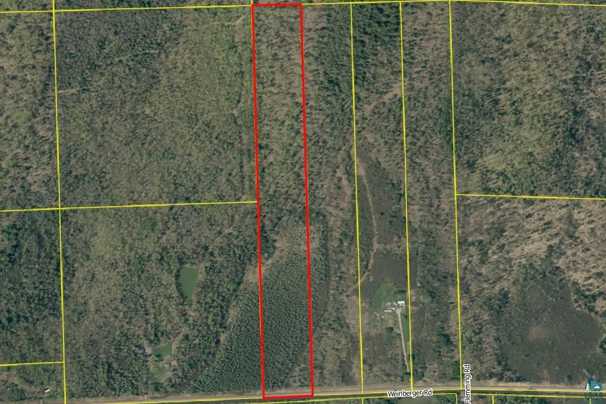 76XXX Weinberger Rd, Butternut, WI 54514 - #1