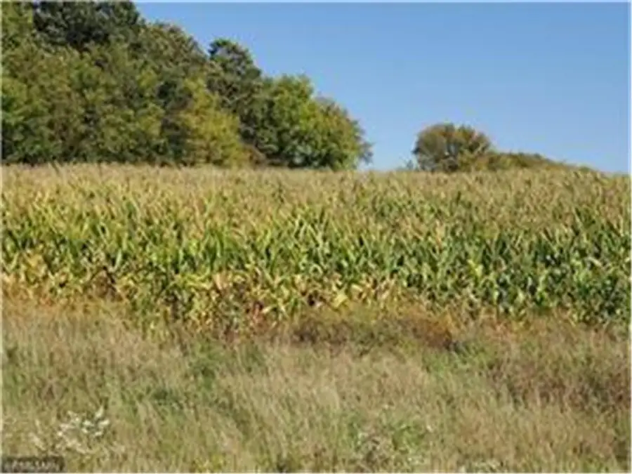1141 178th St./Dalton Farm Road, Lot 19, Hammond, WI 54015 - Image #3