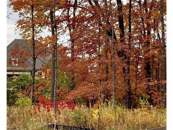 701 Shawnee Woods Road, Hamel, MN 55340