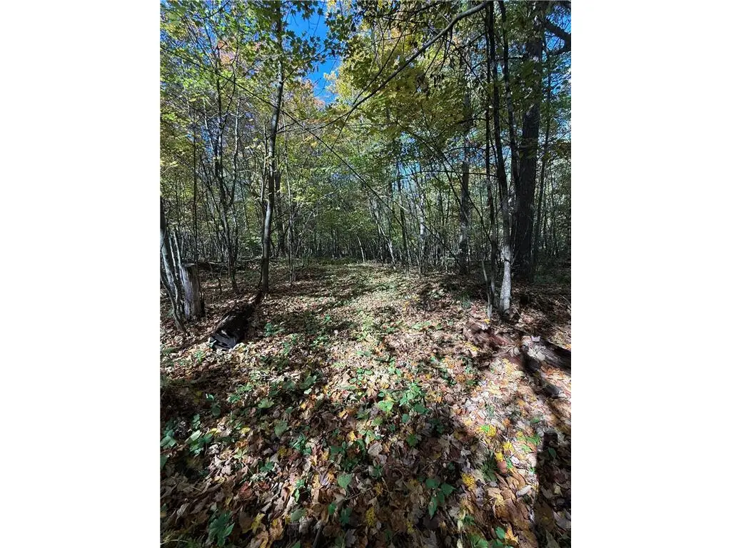 TBD Highway 8, Turtle Lake, WI 54889 - Image #1