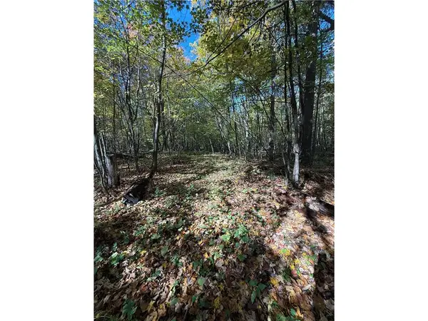 TBD Highway 8, Turtle Lake, WI 54889